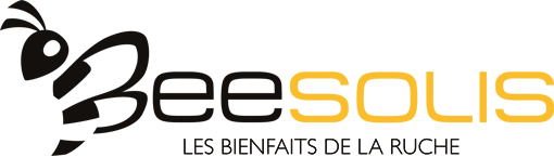 logo beesolis